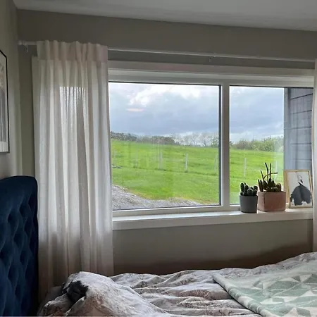 The House Next To The Fjord